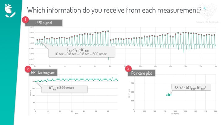 ppg visualisation graph