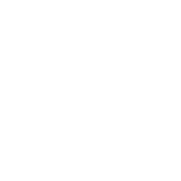 smartphone smartwatch